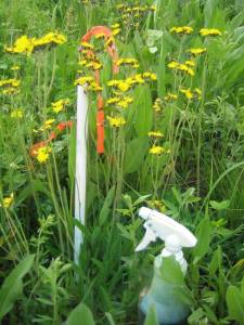 king devil w squirt bottle