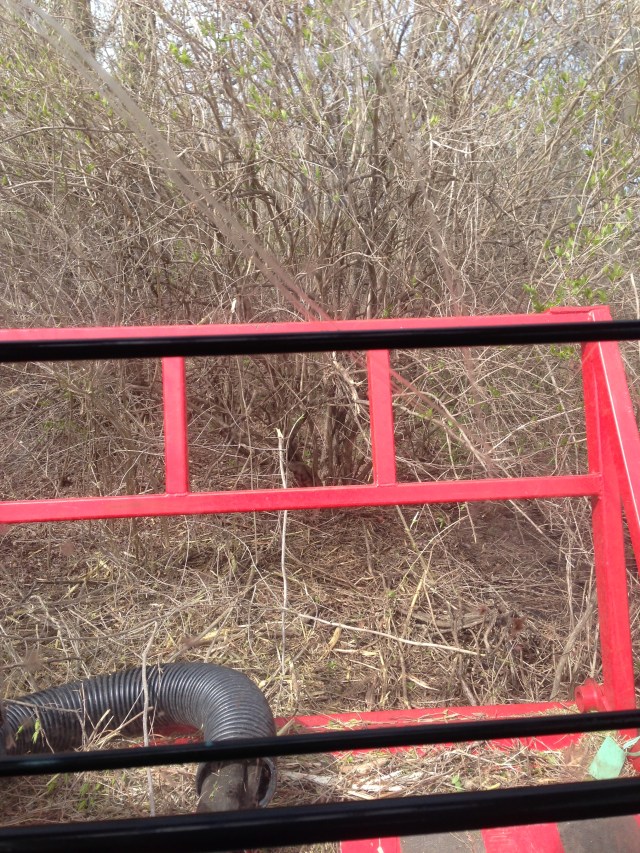 001-honeysuckle-and-brush-mower-fcna