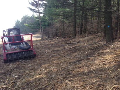 002-brush-mow-after-senger